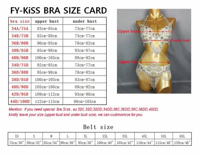 Belly Dancing Wire Bra Top High Waist Pants Samba Carnival Costume Set Hot Girl Nightclub Stage Dancer Wear festival outfit