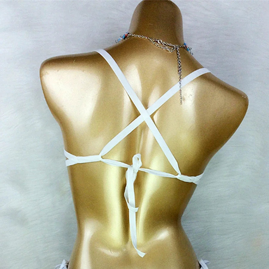 Belly Dancing Wire Bra Top High Waist Pants Samba Carnival Costume Set Hot Girl Nightclub Stage Dancer Wear festival outfit